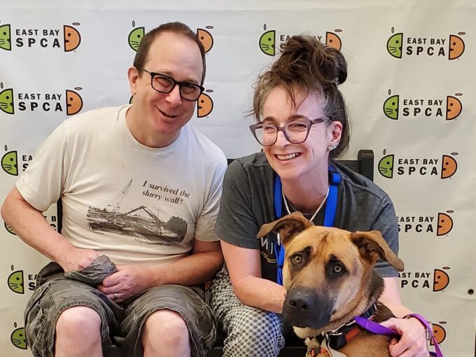 Dog with two adopters