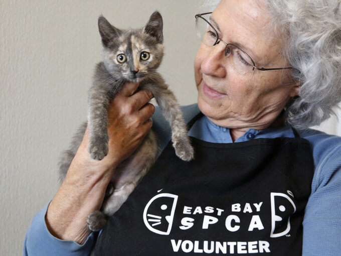 woman gray hair holding cat