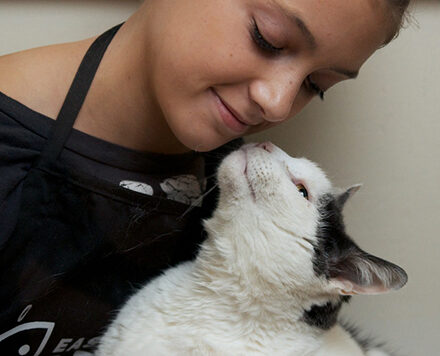 girl looking down at white cat