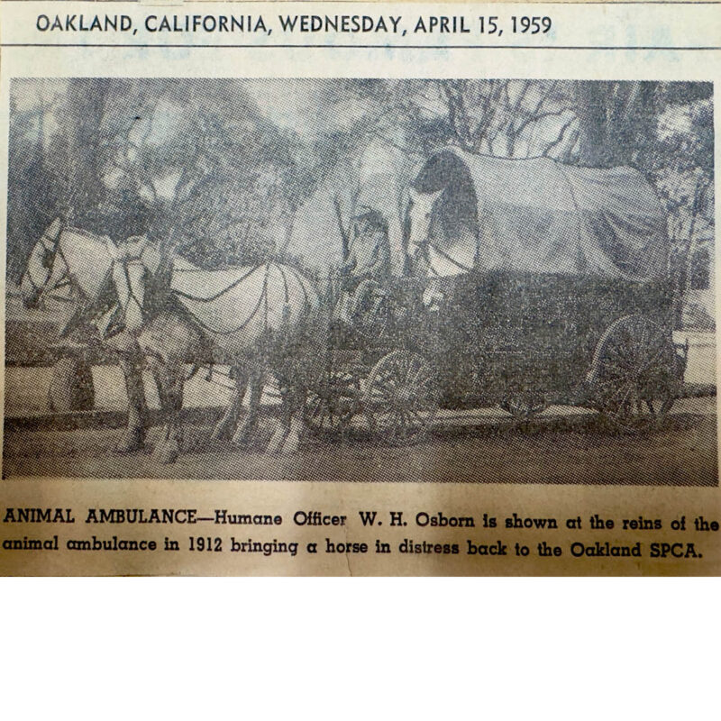 black and white photo of horse and carriage