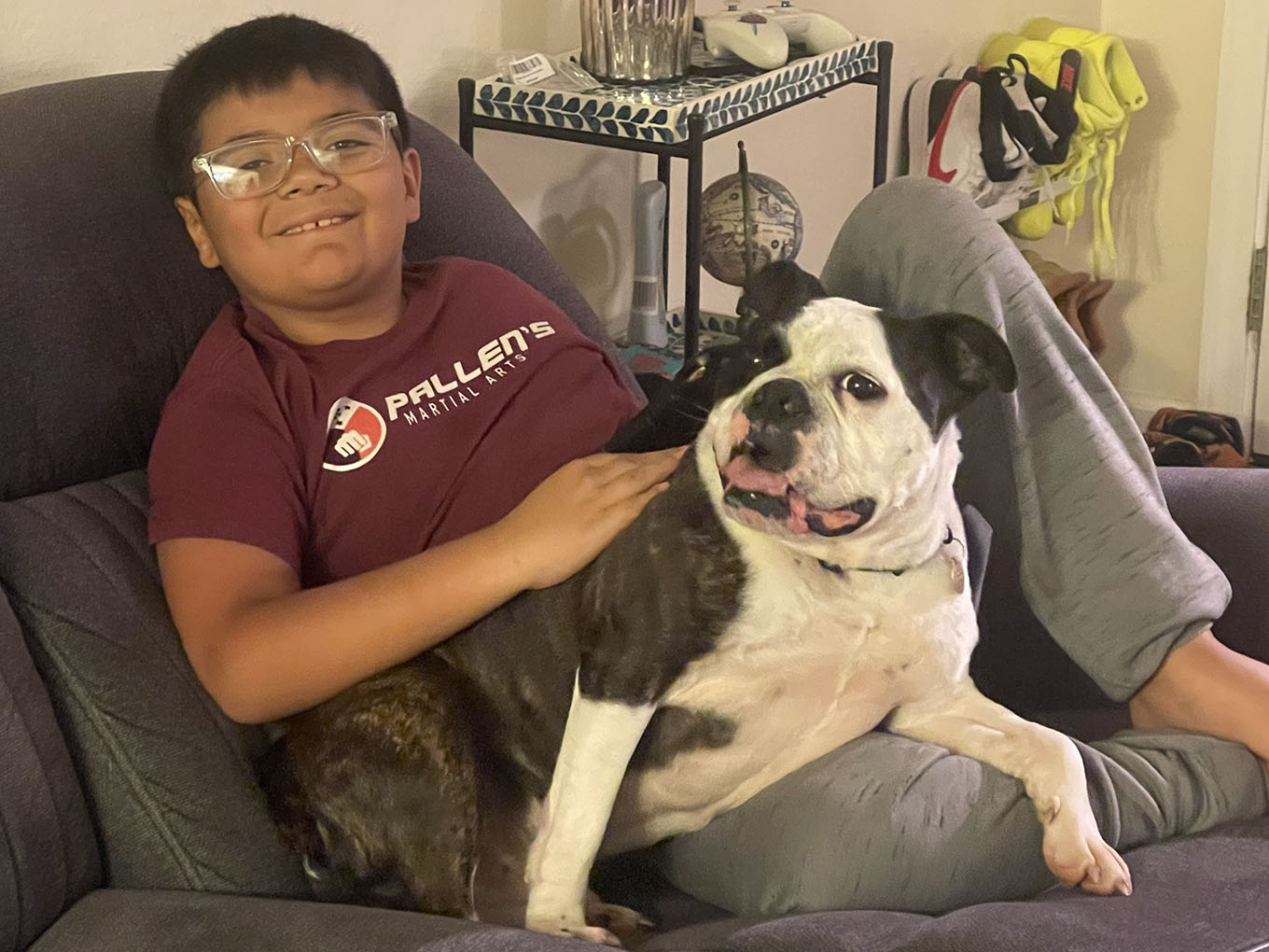 black and white dog with boy on sofa