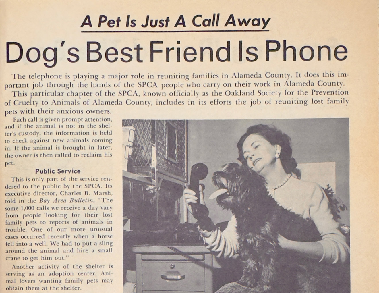 News story about reuniting dogs and owners from 1963.