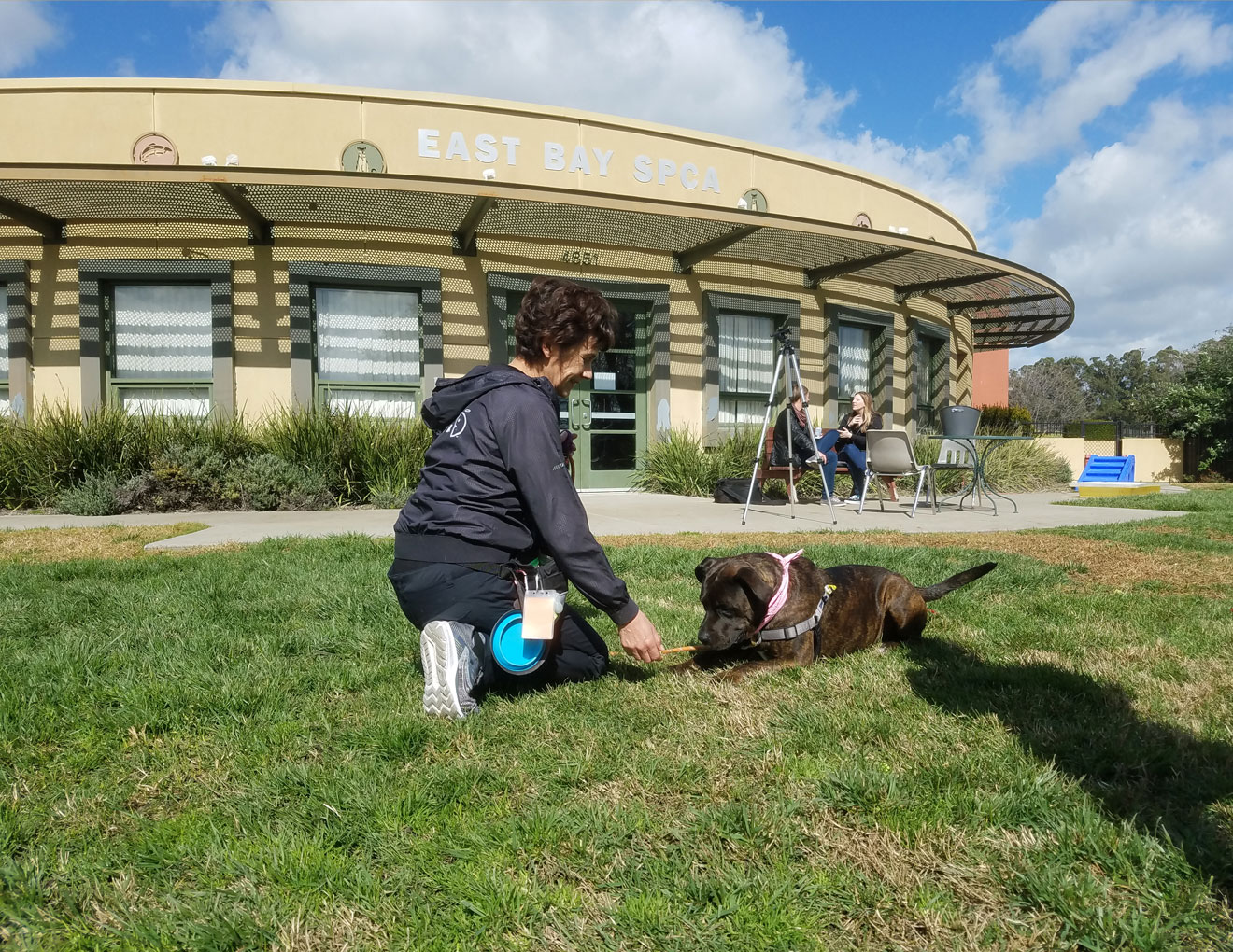 Dublin facility with person and dog outside.