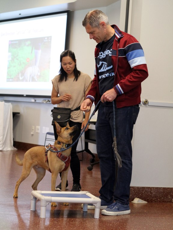 Dr. Liu coaching a man on training the tan dog in front of him