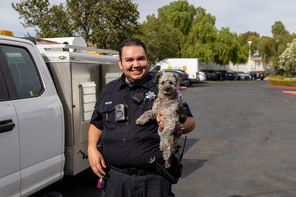 Kevin, a Livermore Animal Control Officer, bringing a stray dog to East Bay SPCA