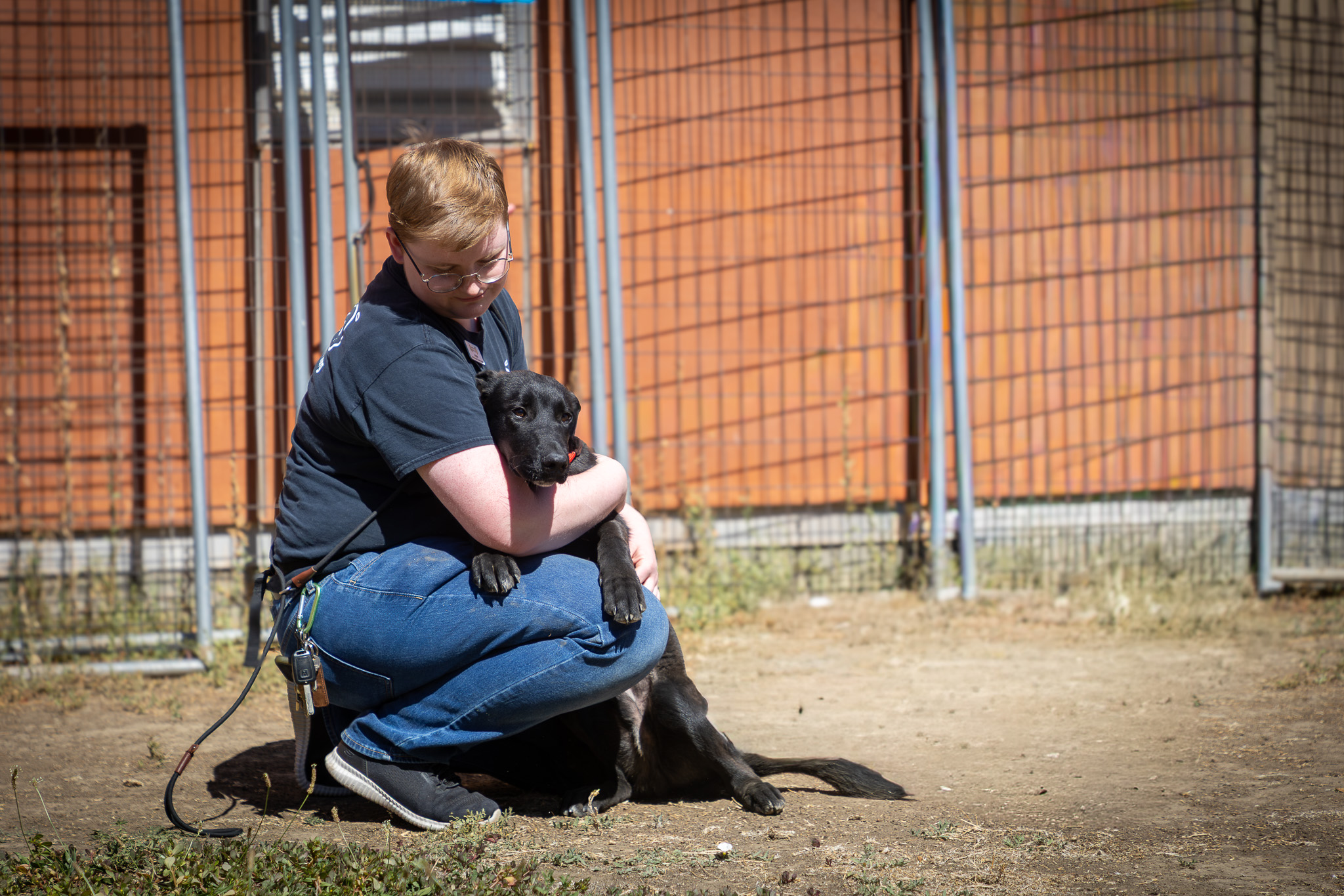 Jasper with Dalton, one of five dogs welcomed from Lake County
