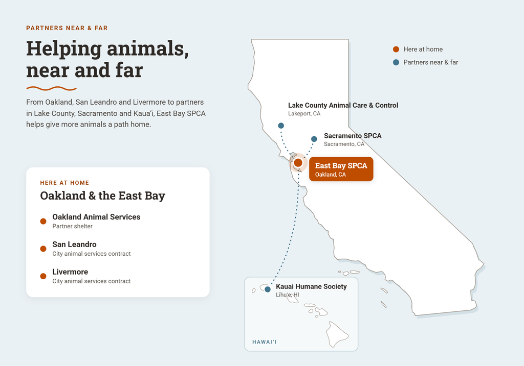 Map of East Bay SPCA's transfer partners in Lake County, Sacramento, Kauai and our local community